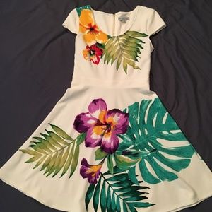 Danny and Nicole tropical dress